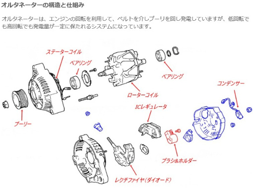 ���r���g,�_�C�i��,�I���^�l�[�^�[